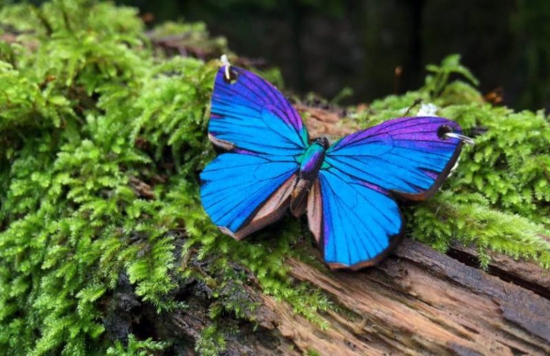 Blue Morpho Butterfly Blue Morpho Butterfly