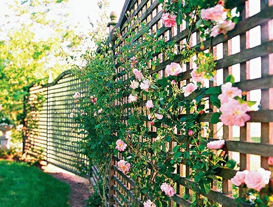 Striking contemporary design #home #fencedesigns #fence #outdoor Striking modern home design exterior 2013 #home #fencedesigns #fence #outdoor