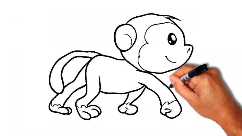 Monkey Drawing