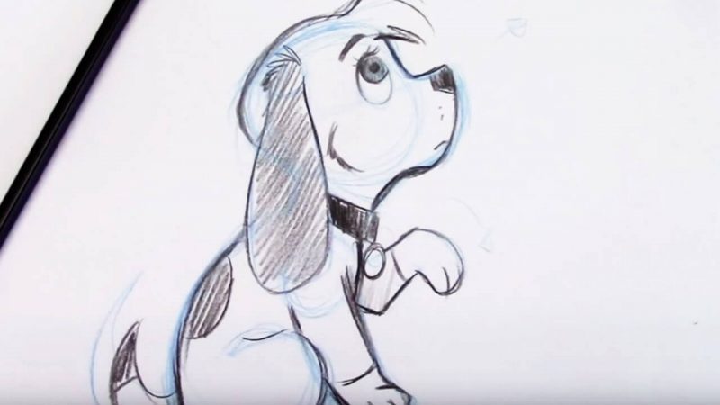 Puppy Drawing