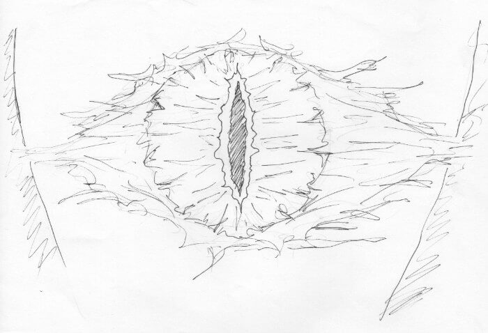 The Watchful Eye of Sauron