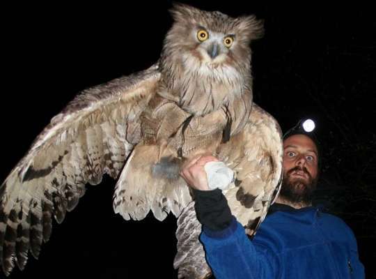 iggest big animal in the world