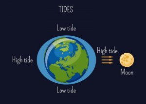 facts of the Moon
