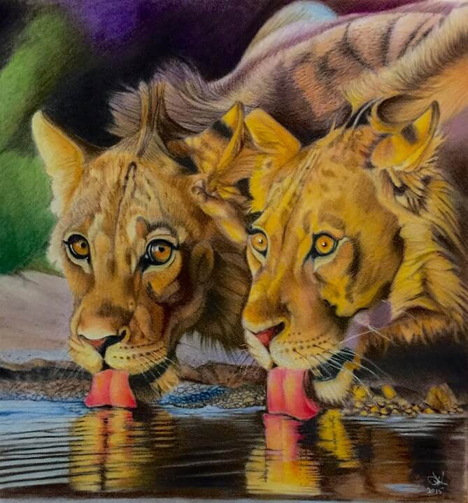 Habitat of a Lion