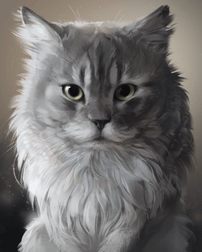 Persian Cat Cute Animal