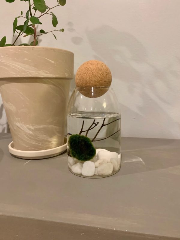 4. Glass Storage Container with Cork Ball