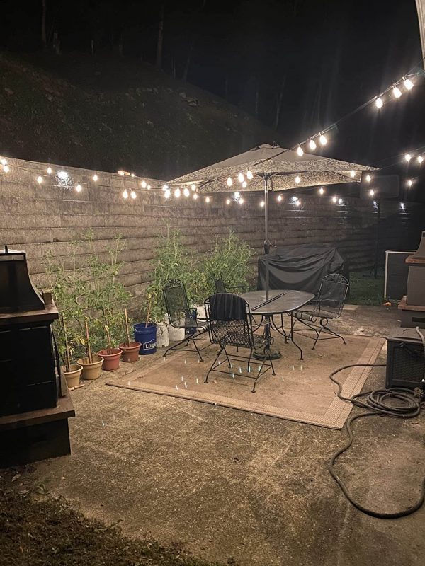 1. Dimmable Vintage Edison String Lights for Gazebo Parties