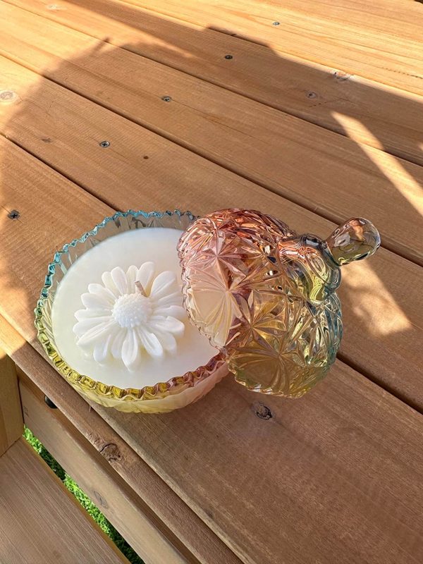 5. Danmu 1 Piece Colorful Glass Storage Jar