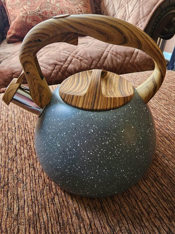 ✅ 7 Cool Teapots [ Ceramic, Glass, Wooden, and Stainless Steel ]