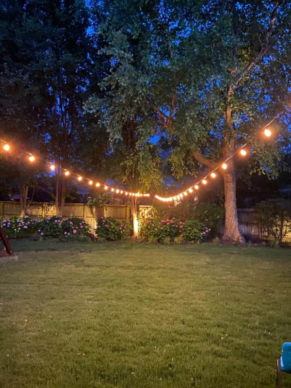 1. Dimmable Vintage Edison String Lights for Gazebo Parties